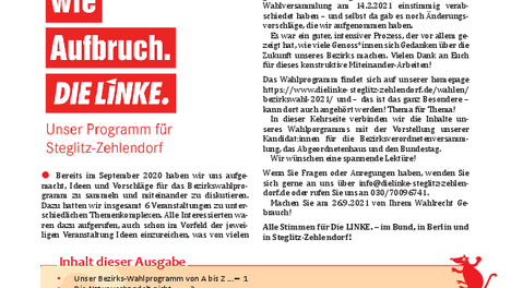 DieLinke_schraegAn_2c