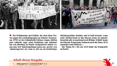 DieLinke_schraegAn.fh11